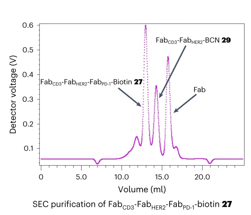 Open access visualization of Line Plot, UV trace, SEC purification, Fab CD3, Fab HER2