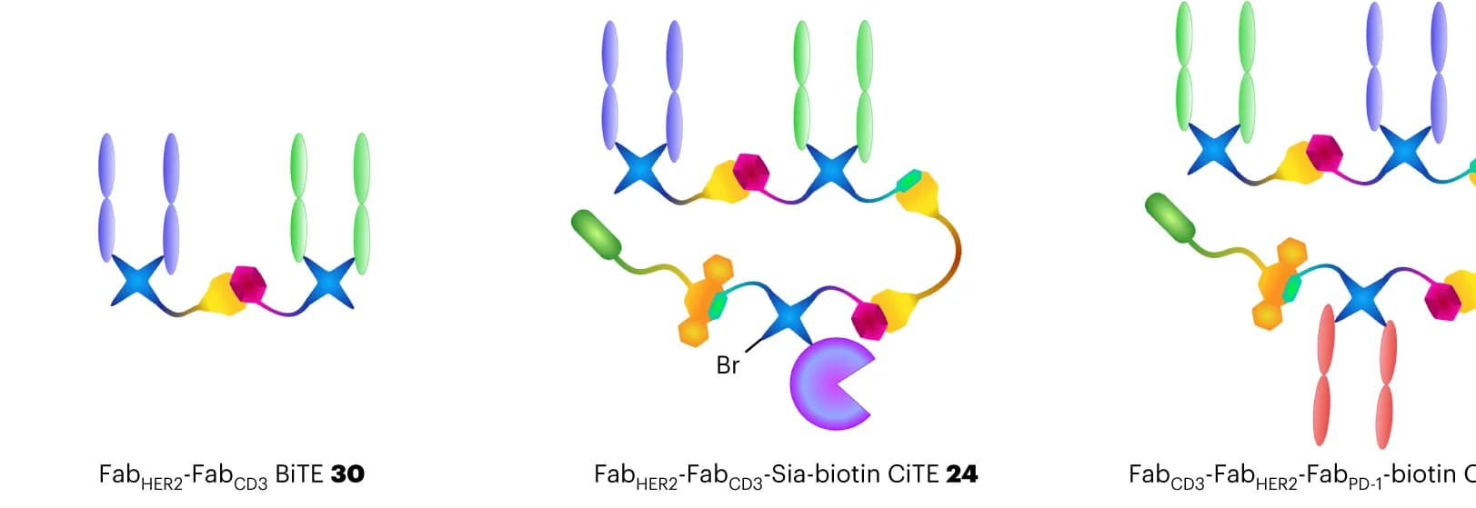 Open access visualization of Illustration, Chemical Structure, Constructs