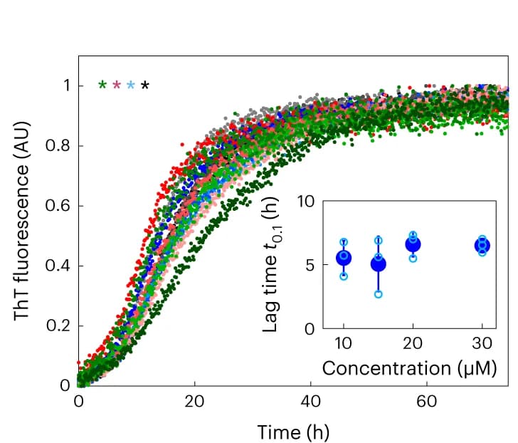 Open access visualization of Line Plot, Scatter Plot, Error Bars, ThT Kinetic Profiles, Protein Concentrations