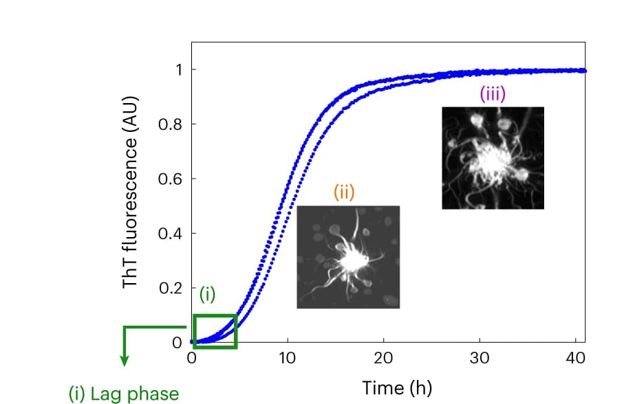 Open access visualization of Line Plot, Microscopy, Re-scan Confocal Fluorescence Microscopy, ThT Profile, Droplet Formation