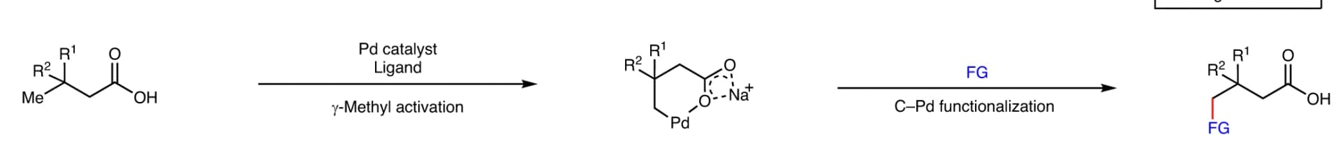 Open access visualization of Workflow, Chemical Structure, Functionalization, Aliphatic Carboxylic Acids, Functional Group