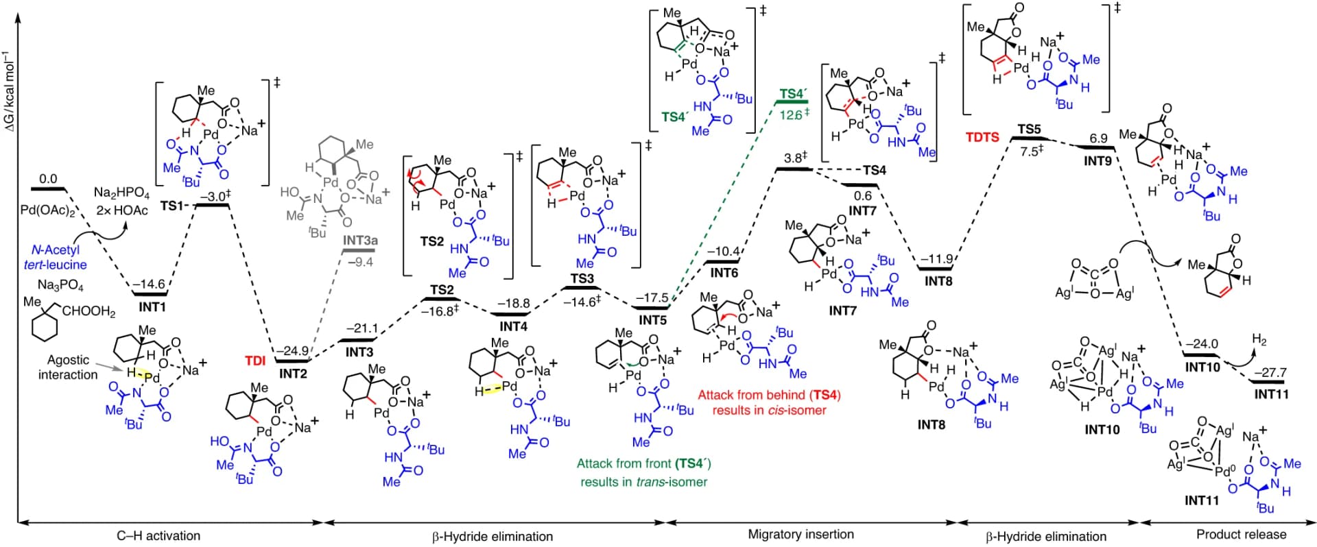 Open access visualization of Line Plot, Chemical Structure, Catalytic Cycle, C-H Activation, β-H Elimination