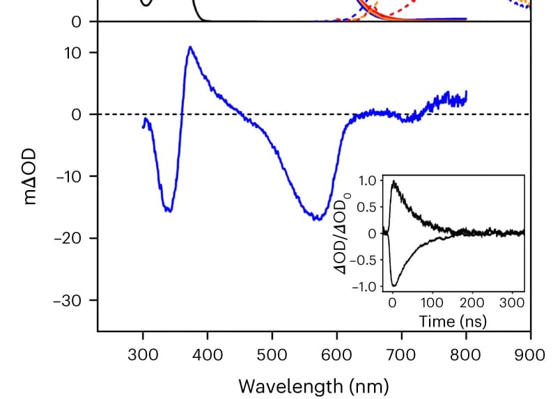Open access visualization of Line Plot, Density Plot, Transient Absorption Spectrum, Excited-State Absorption, Ground-State Bleach
