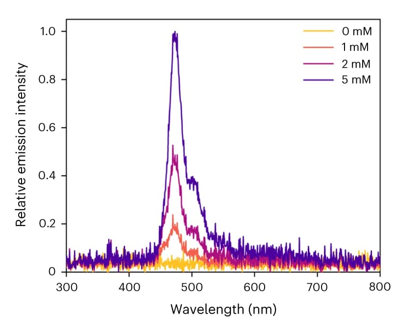 Open access visualization of Line Plot, Delayed Fluorescence, Complex, Perylene, Toluene