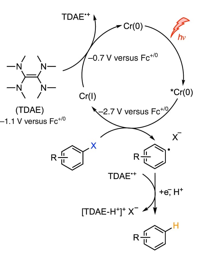 Open access visualization of Workflow, Flowchart, Illustration, Chemical Structure, Catalytic cycle