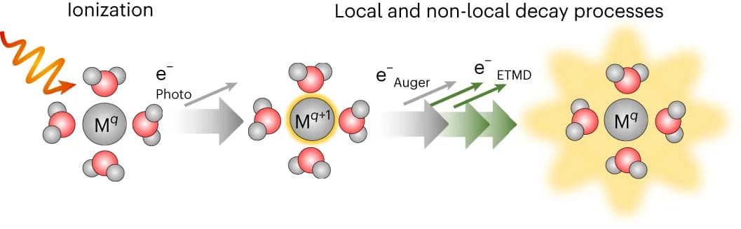 Open access visualization of Workflow, Illustration, Metal Ions, Auger-Meitner Decay, Water