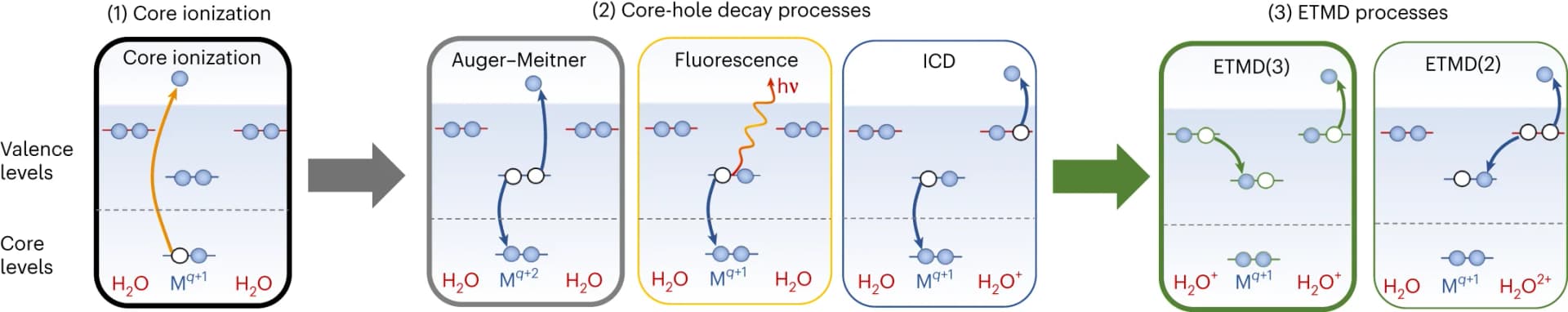 Open access visualization of Workflow, Flowchart, Ionization, Core-hole decay, Auger-Meitner decay
