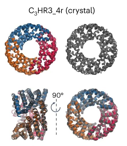 Open access visualization of Protein Structure, Crystal Structure, C 3 HR3_4r