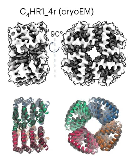 Open access visualization of Protein Structure, CryoEM Structure, C 4 HR1_4r