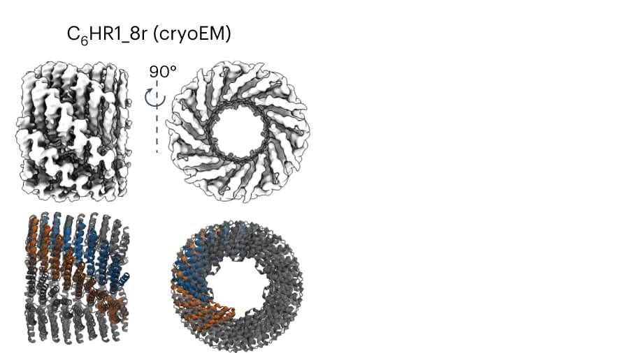 Open access visualization of Protein Structure, CryoEM Structure, Design Model, C 6 HR1_8r, C 7