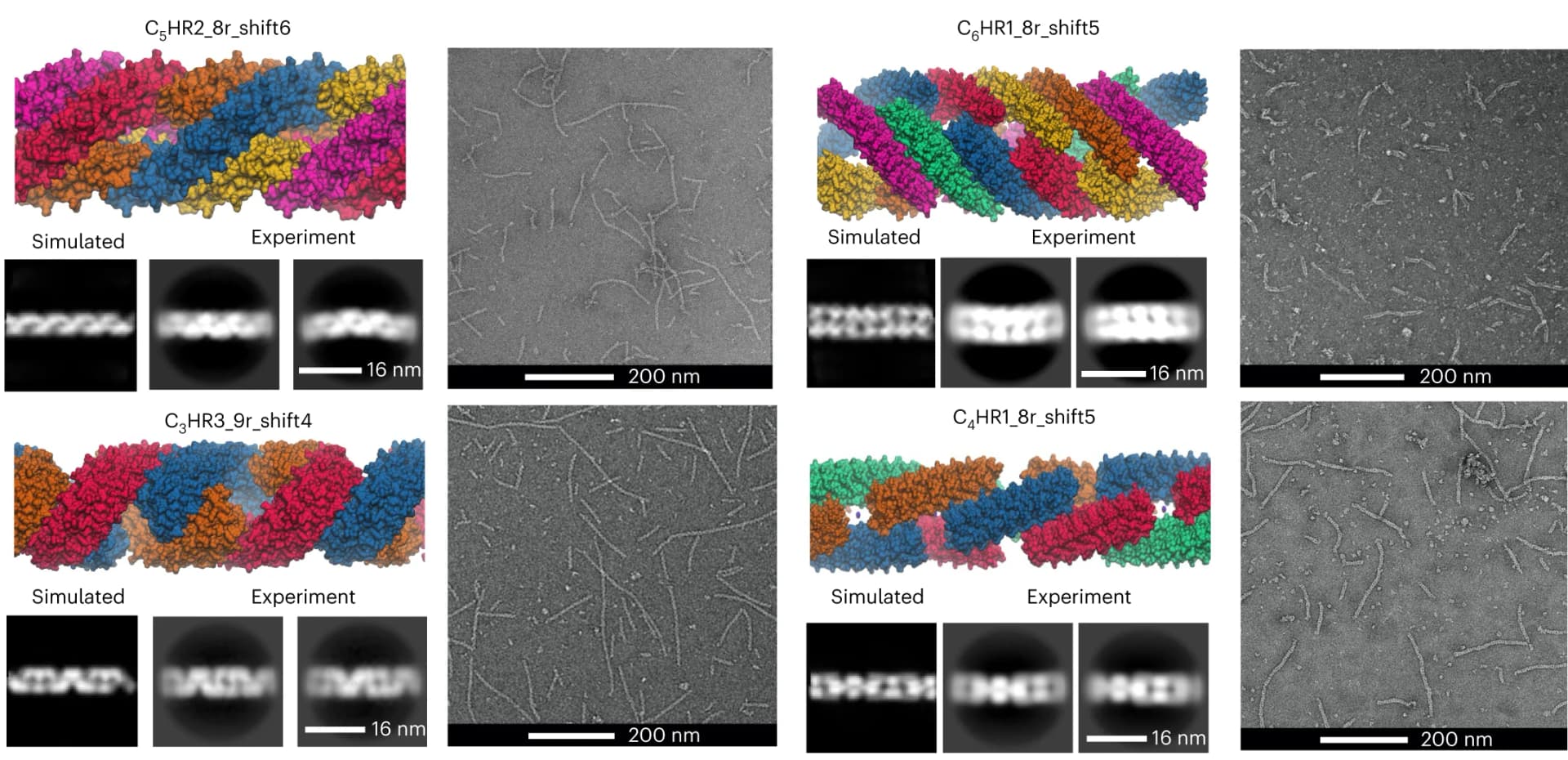 Open access visualization of Microscopy, 3D Plot, Protein Structure, Patterned Fibres, Design Models