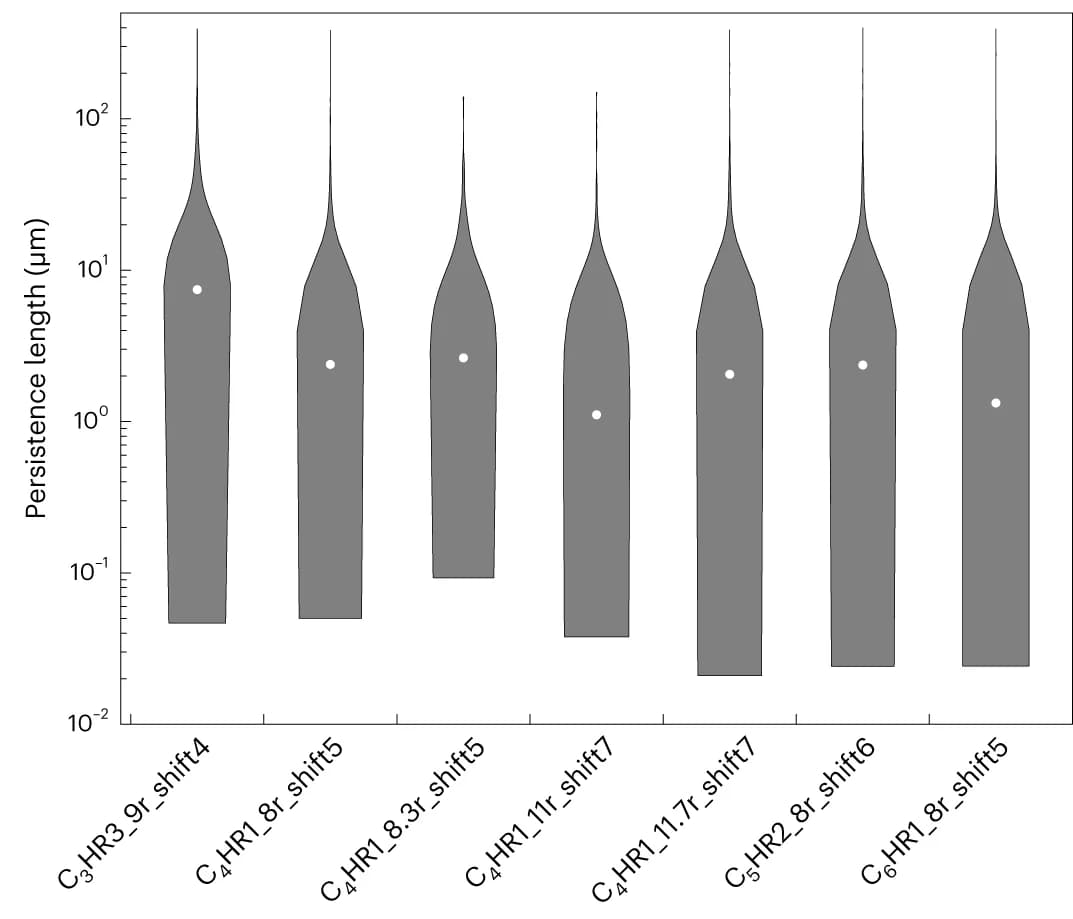 Open access visualization of Violin Plot, Violin Plots, Persistence Lengths, Fibres, Negative Stain
