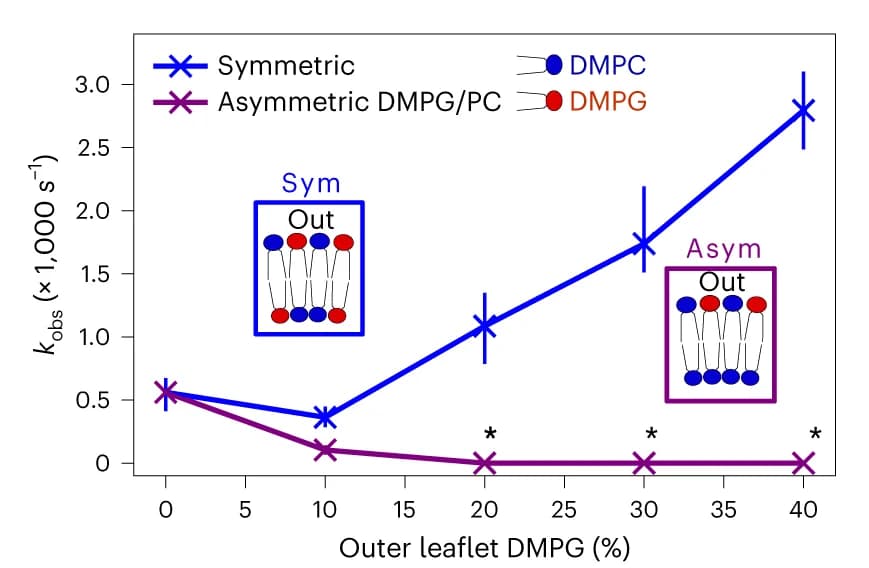 Open access visualization of Line Plot, Error Bars, Folding Rate Constants, OmpA, Asymmetric Liposomes