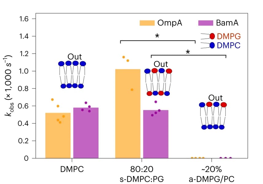 Open access visualization of Bar Plot, Scatter Plot, Folding Rate Constant, OmpA, BamA