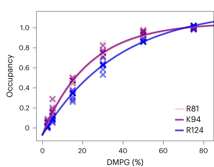 Open access visualization of Scatter Plot, Regression Plot, DMPG Occupancy, DMPC, DMPG