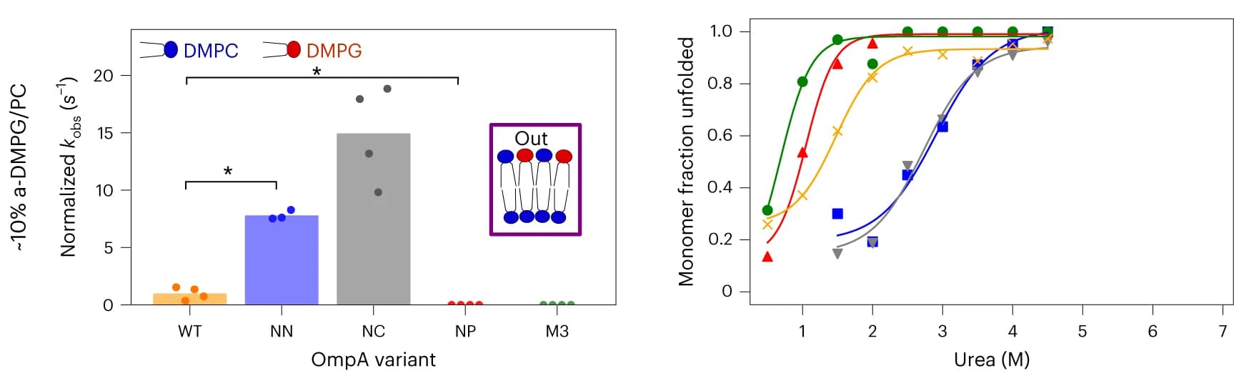 Open access visualization of Line Plot, Bar Plot, Scatter Plot, DMPG/PC, OmpA-NP