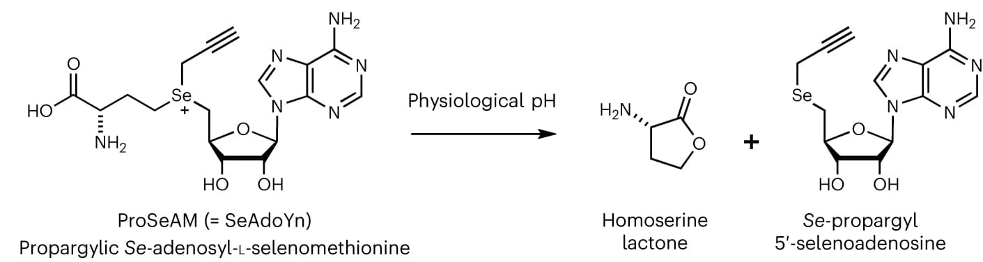 Open access visualization of Chemical Structure, Illustration, ProSeAM, Degradation Pathway