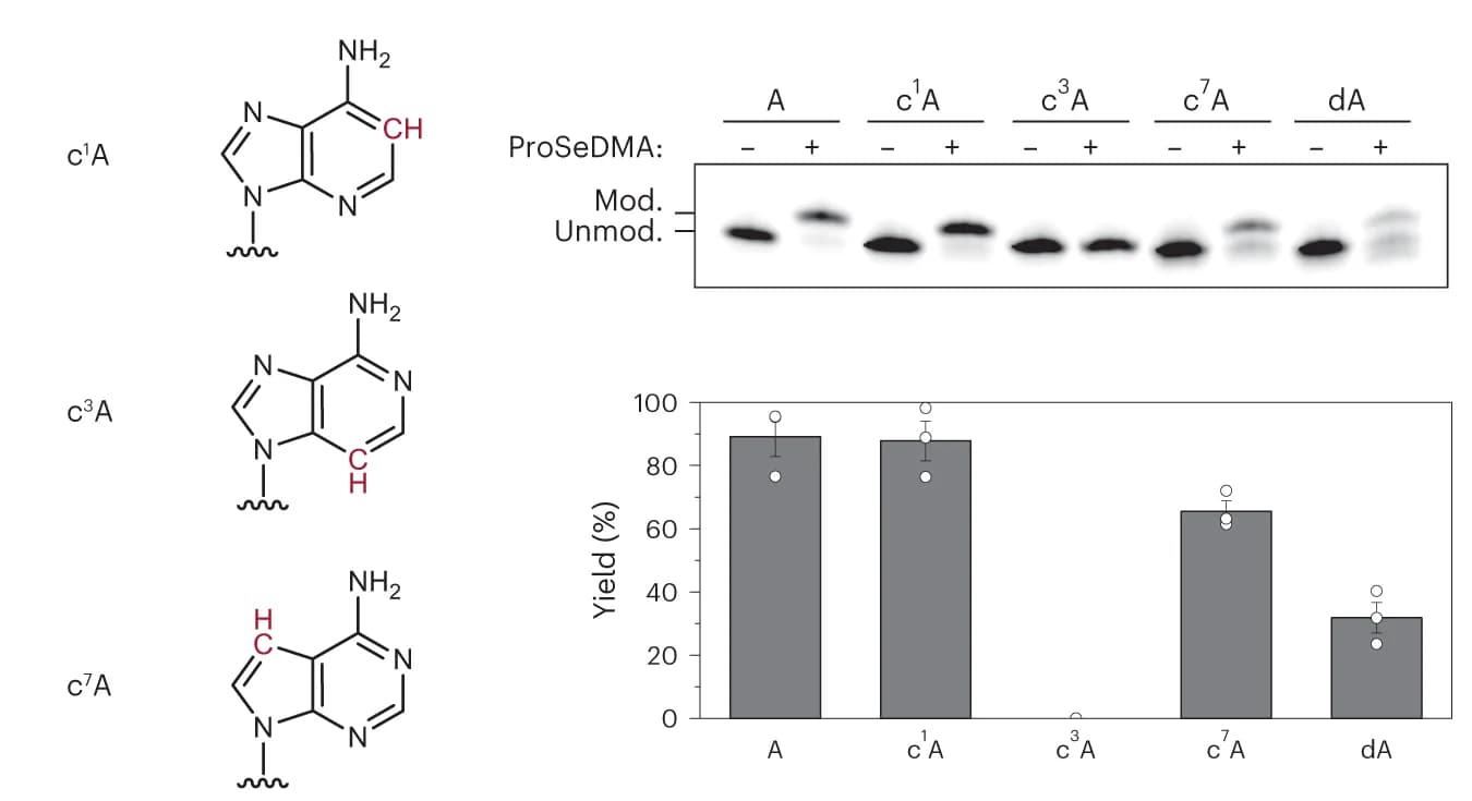 Open access visualization of Bar Plot, Error Bars, Gel, Chemical Structure, SAMURI