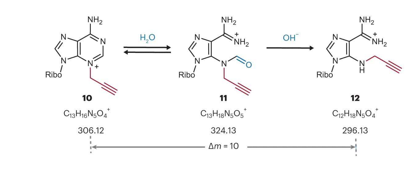 Open access visualization of Chemical Structure, Reaction Pathway, Purification, Mass Shift
