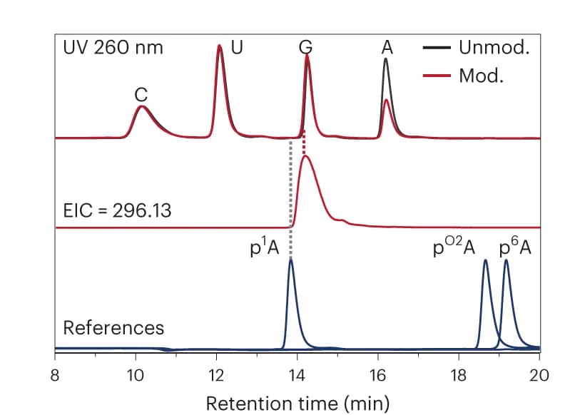 Open access visualization of Line Plot, LC/MS Analysis, RNA, UV Trace, Extracted Ion Chromatogram