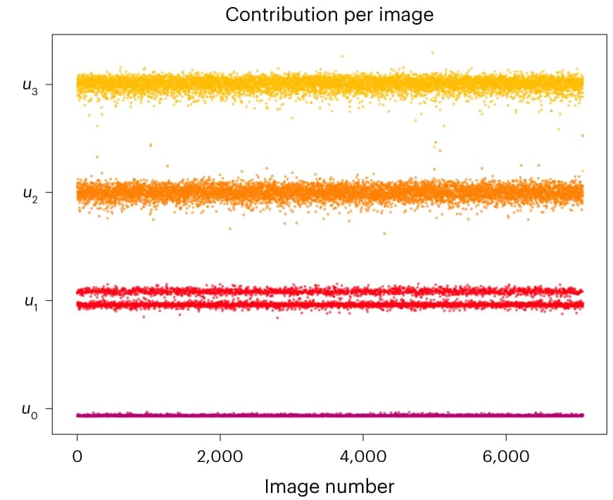 Open access visualization of Scatter Plot, Basis Vectors, Radial Average