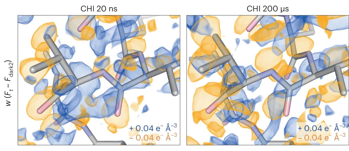 Open access visualization of Protein Structure, Chemical Structure, Difference Density Maps, Chitobiose, Refined Models