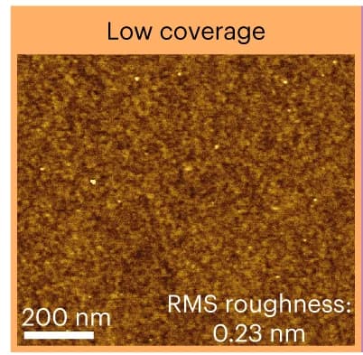 Open access visualization of Microscopy, AFM Topography Images, Low Coverage, SAM