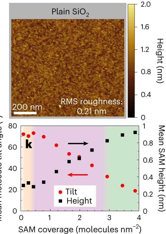 Open access visualization of Line Plot, Microscopy, AFM Topography Images, Silicon Dioxide, SAM