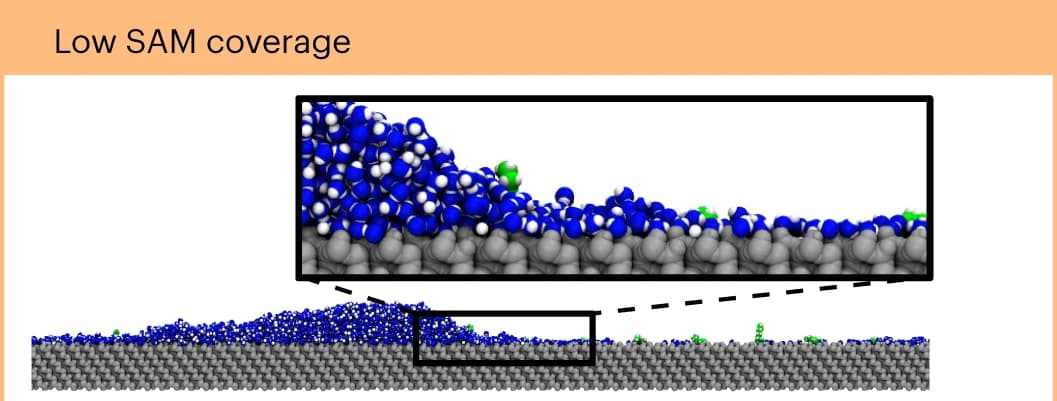 Open access visualization of Protein Structure, Chemical Structure, Water, SAMs, Droplet