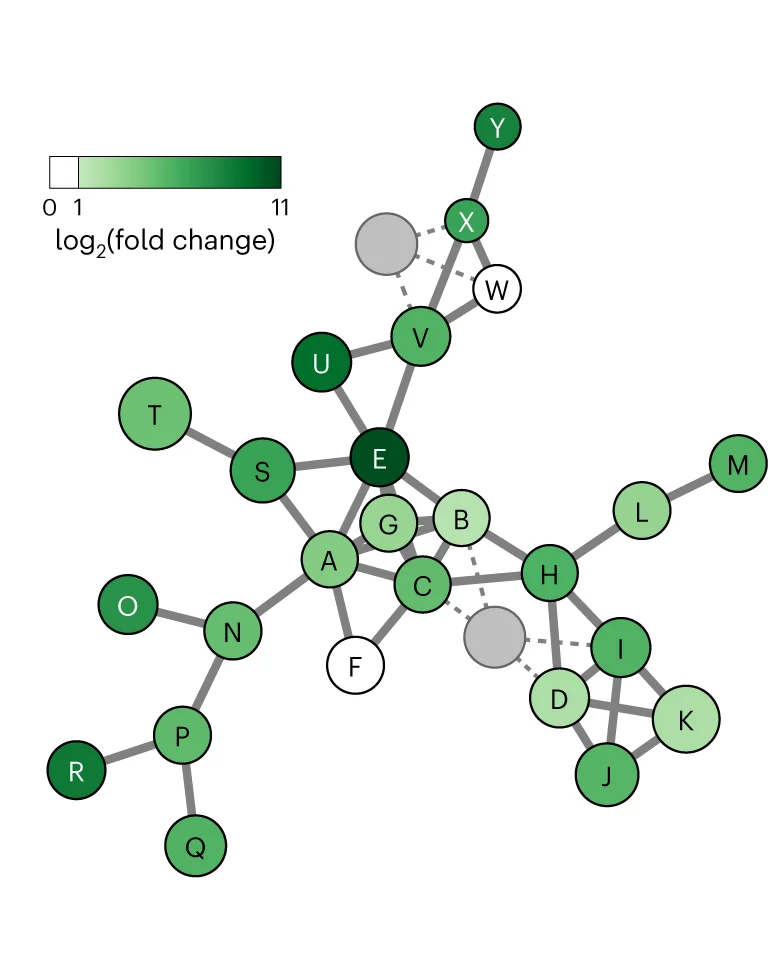 Open access visualization of Network, Pathway, Cylindrocyclophane Metabolic Network, LCMS Data, M/Z Value