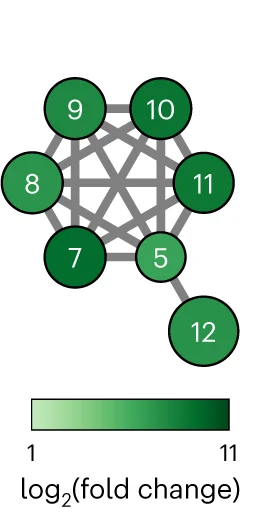 Open access visualization of Network, Pathway, Metabolic Network, LCMS Data, Features