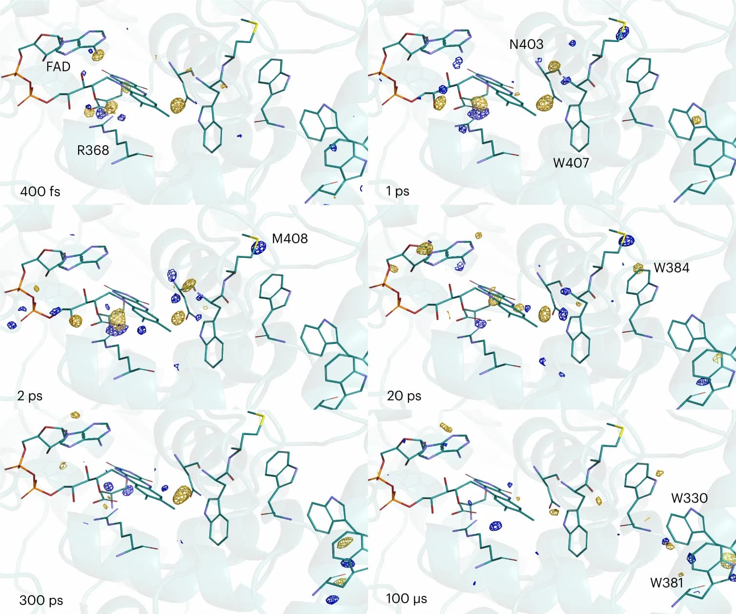Open access visualization of Protein Structure, Chemical Structure, DED, Light Activation, Cartoon Representation