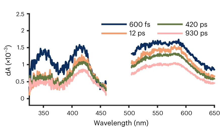 Open access visualization of Line Plot, Transient Absorption Spectra, Pump-probe Delays, Excitation, MATLAB