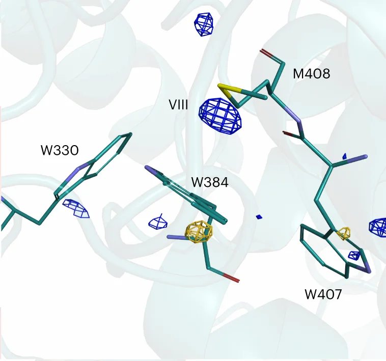 Open access visualization of Protein Structure, Chemical Structure, DED Map, Met408, Dark Structure