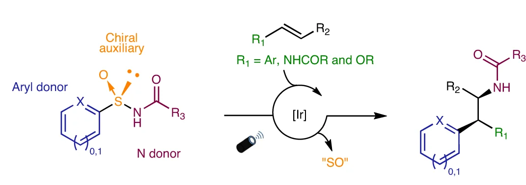 Open access visualization of Workflow, Chemical Structure, Asymmetric intermolecular alkene aminoarylation, Arylsulfinylamides, Chiral auxiliary