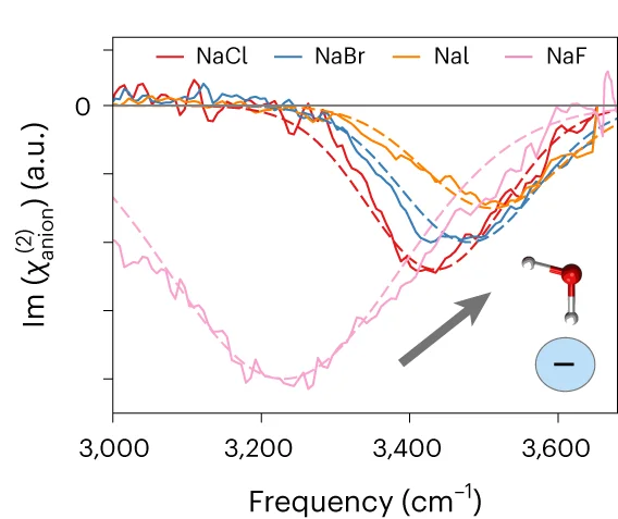 Open access visualization of Line Plot, Chemical Structure, Anionic Contributions, Hydrogen-Bond Strength, Halide Series