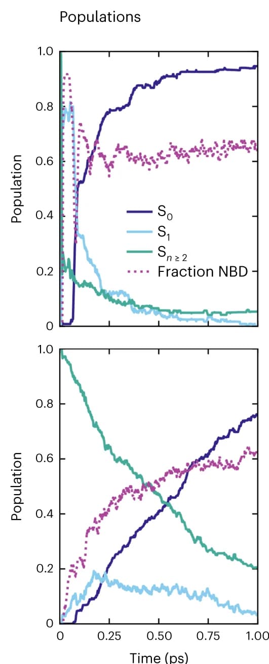 Open access visualization of Line Plot, Electronic States, Population Dynamics, Excited States, NBD-like Geometry