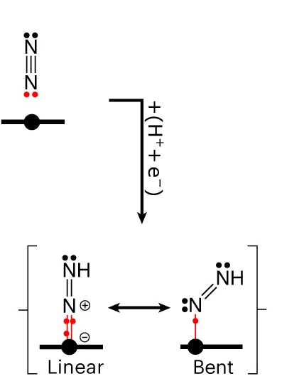Open access visualization of Chemical Structure, Lewis Structures, Binding Modes, NNH