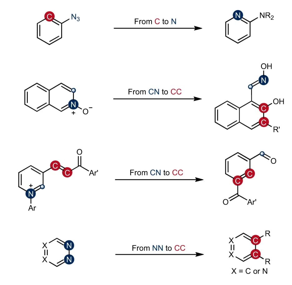 Open access visualization of Chemical Structure, Atom Swap, Arenes, Substrate Scope, Late-Stage Modification