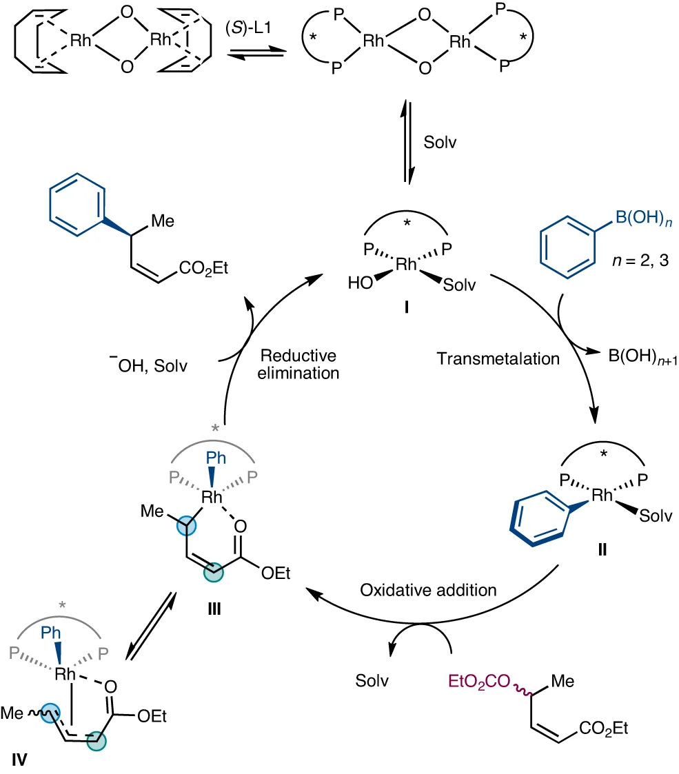 Open access visualization of Workflow, Flowchart, Chelation, Oxidative Addition, Enantiomers