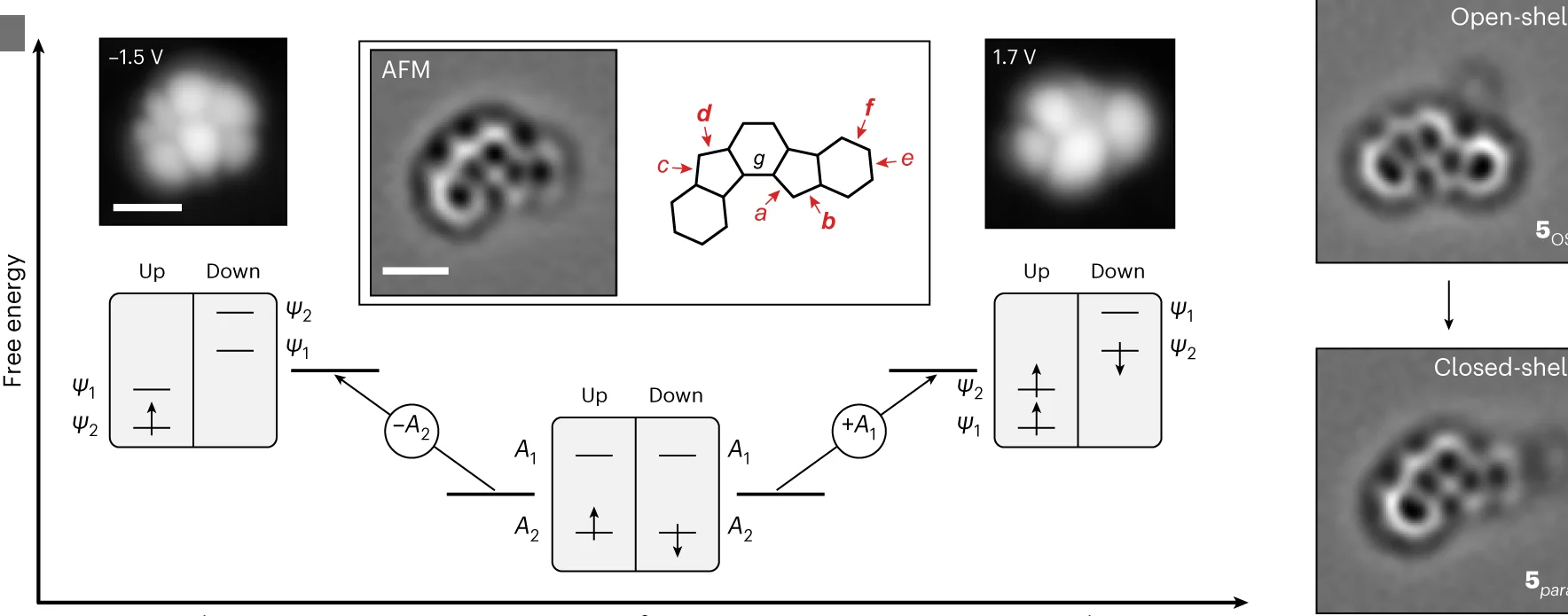 Open access visualization of Microscopy, Workflow, Illustration, Line Plot, Many-Body Transitions