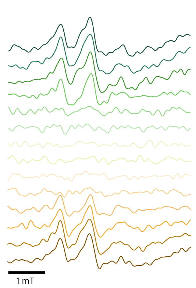 Open access visualization of Line Plot, EPR Spectra, CV Scan, Forward CV Scan, Reverse CV Scan