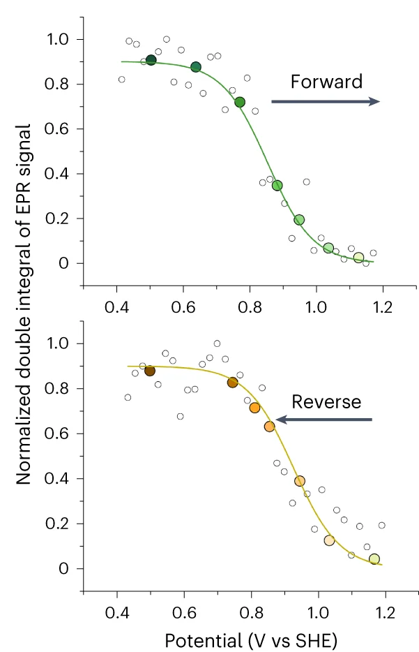 Open access visualization of Line Plot, Scatter Plot, EPR Spectra, Double Integrals, Nernst Equation
