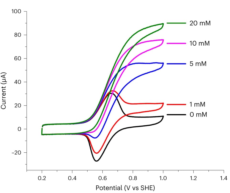Open access visualization of Line Plot, Catalytic CV Scan, FE CV-EPR Experiments, MBA