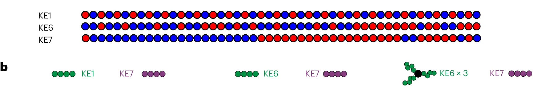 Open access visualization of Illustration, Polyampholyte Sequences, Glutamate Residues, Lysine Residues, Beads