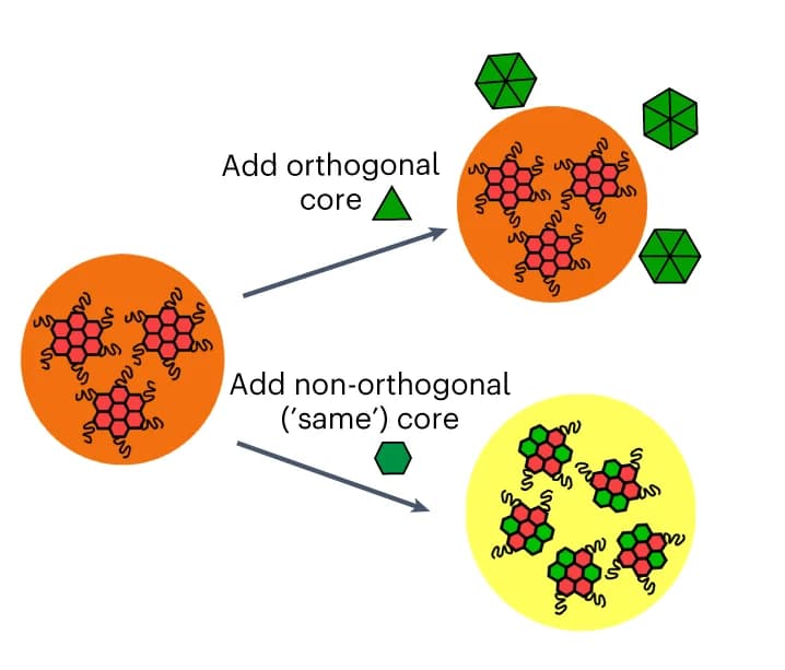Open access visualization of Workflow, Illustration, Orthogonality, Cores, Condensate