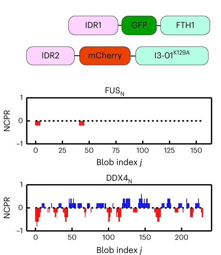 Open access visualization of Bar Plot, IDR-core Systems, Residue Charge Distributions, Condensate Phases, IDRs
