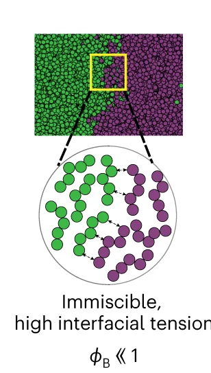 Open access visualization of Illustration, Two-Phase Systems, Interfacial Tension, Heterotypic Bonds, Immiscibility