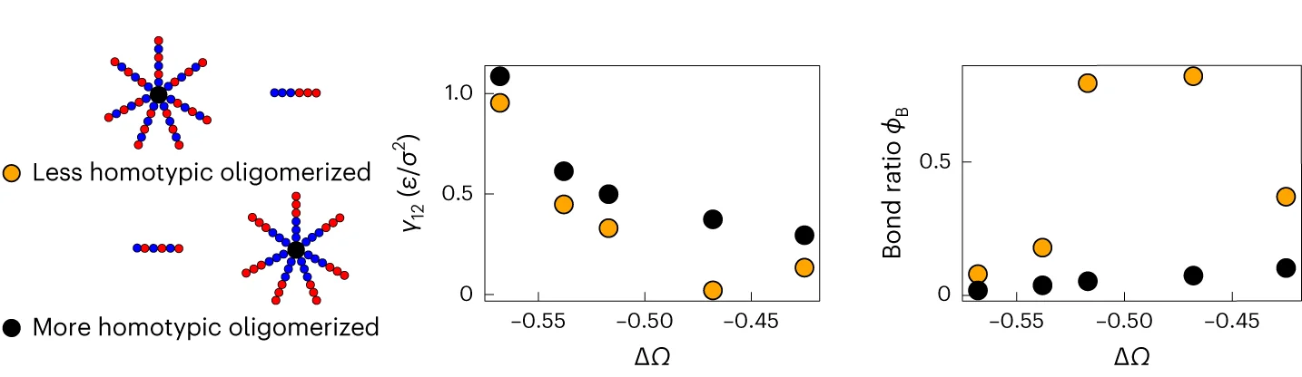 Open access visualization of Scatter Plot, Illustration, Oligomerization, Condensate Miscibility, Interfacial Tension