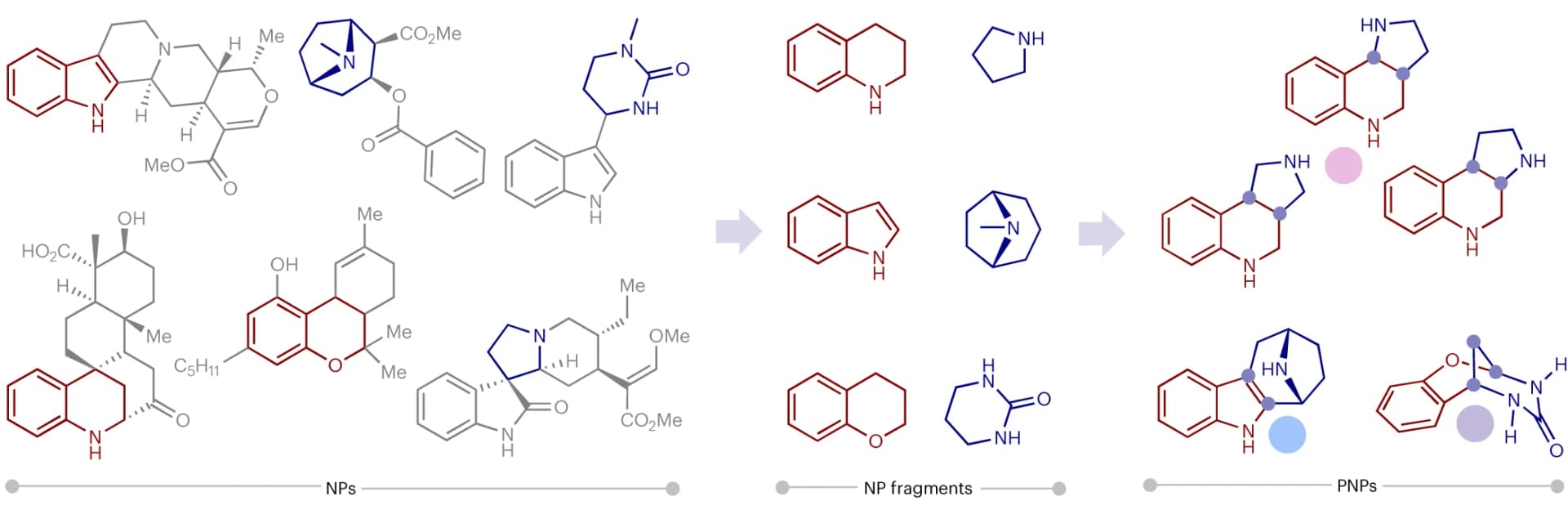 Open access visualization of Workflow, Chemical Structure, PNP, NP Fragments